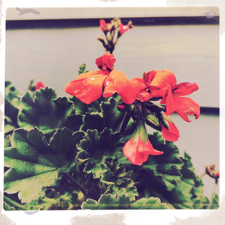 Everything is (Supposed to Be)&nbsp;Resting