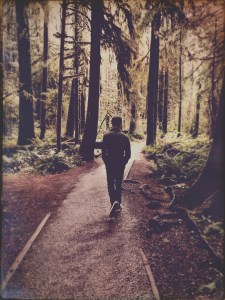 Walking down the forest path