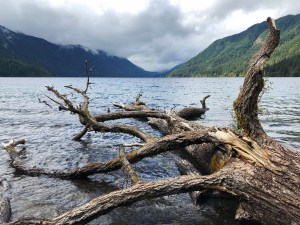Lake Crescent, WA