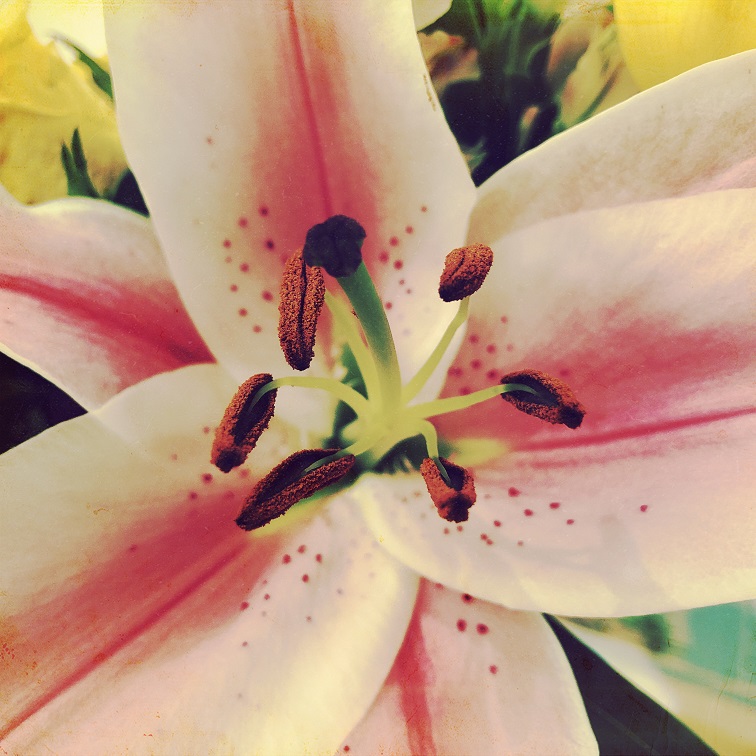 2019 The Year of Comfort: Week&nbsp;5