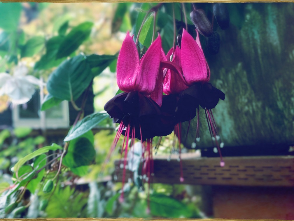 2019 The Year of This and That: Week&nbsp;10